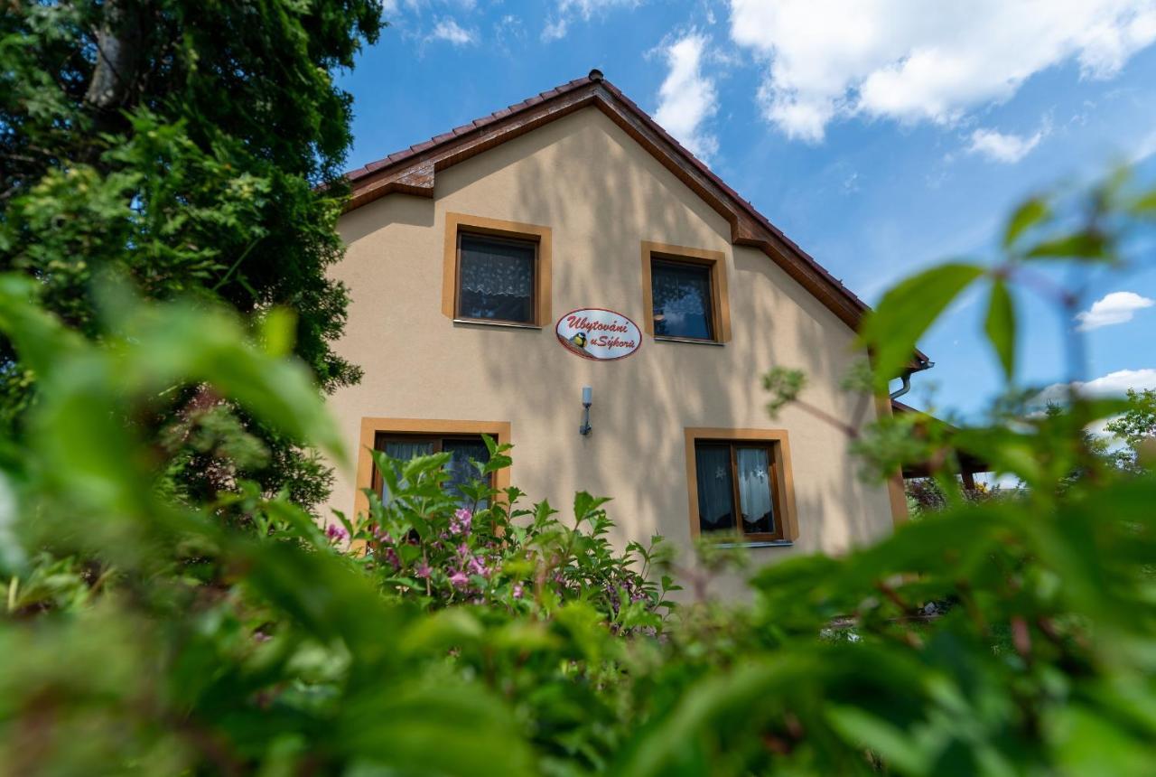Penzion U Sykoru Třeboň Exterior foto