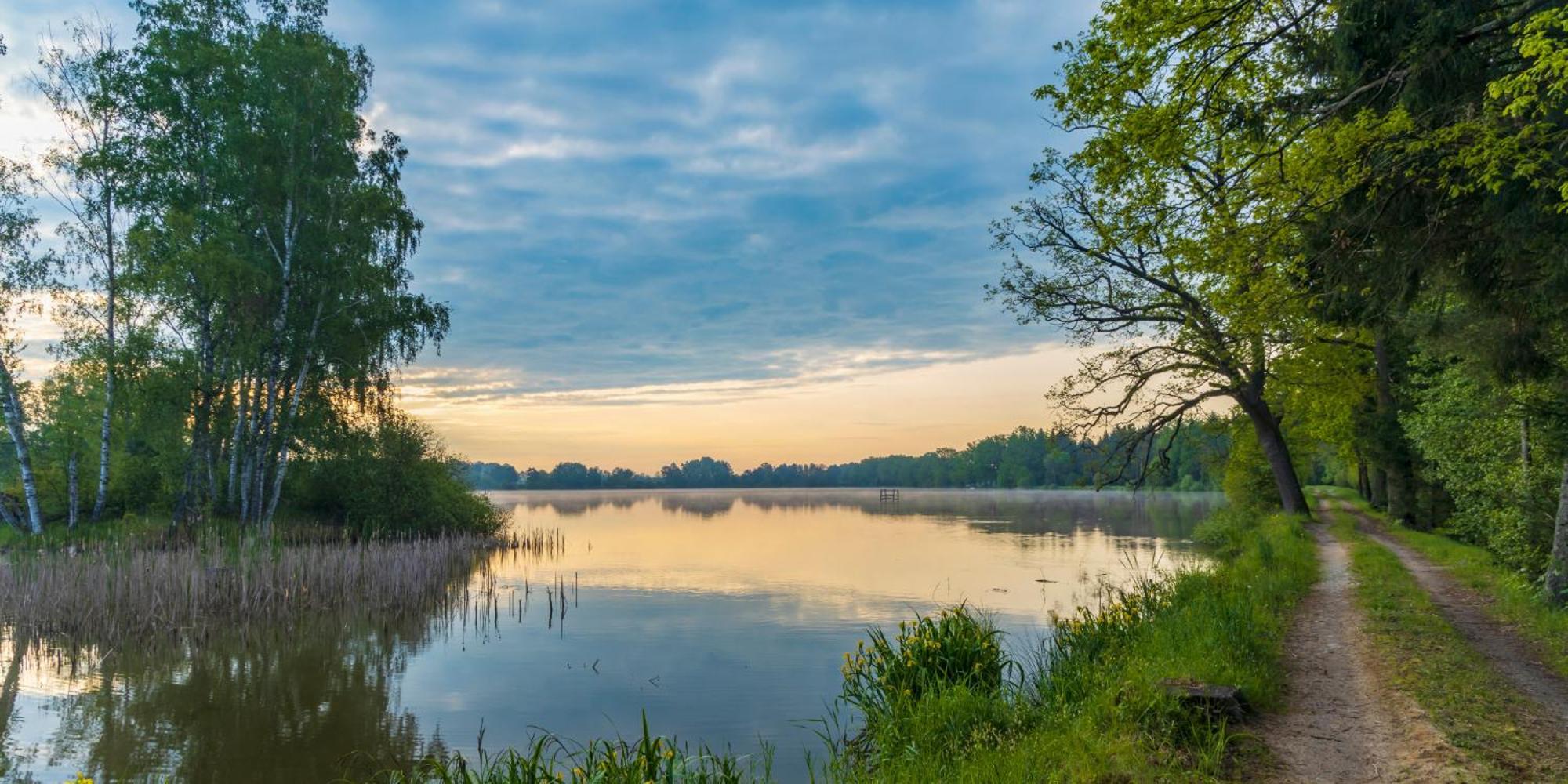 Penzion U Sykoru Třeboň Exterior foto