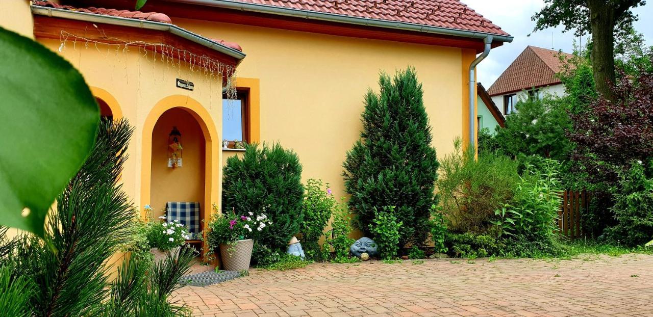 Penzion U Sykoru Třeboň Exterior foto