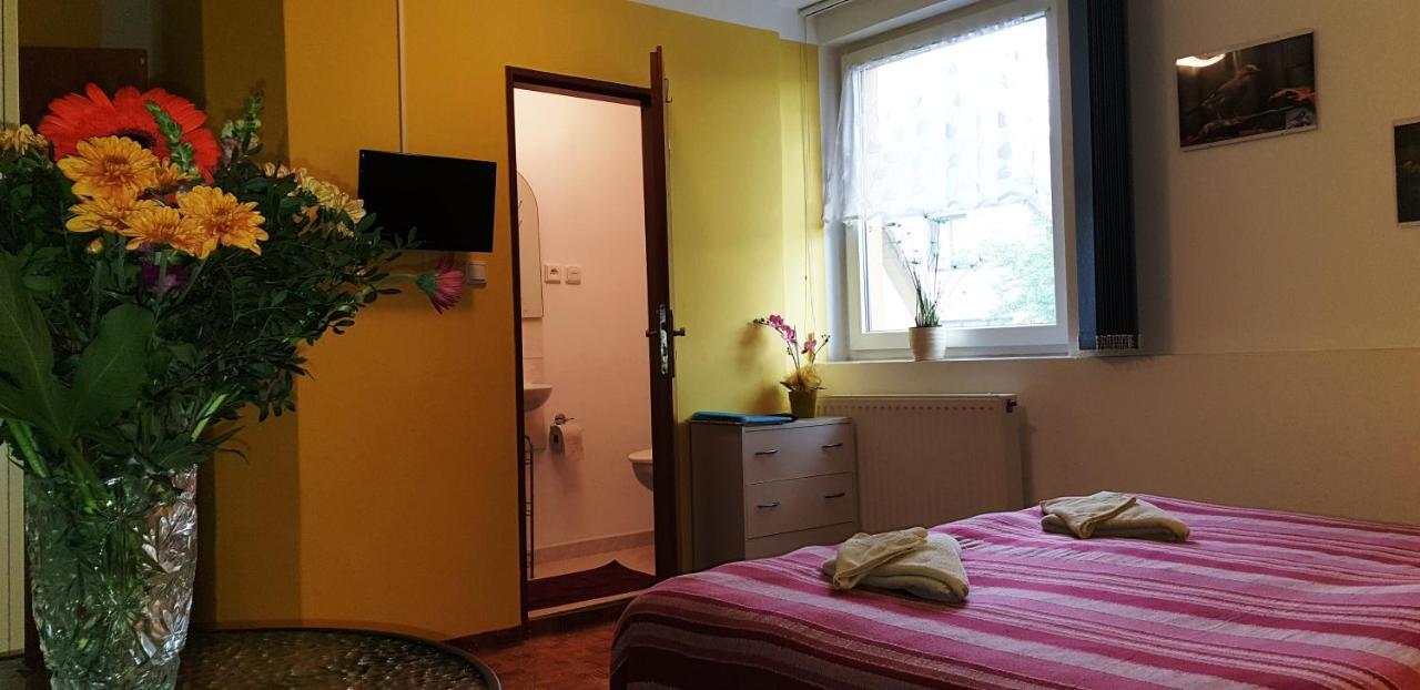 Penzion U Sykoru Třeboň Exterior foto